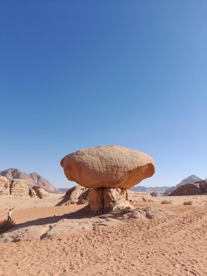 Wadi Rum Camels Camp Eksteriør bilde